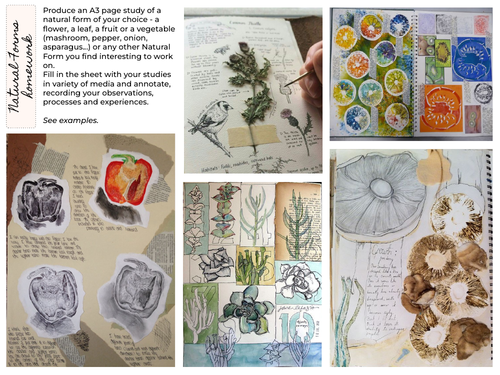 Natural Forms, Art, Homework sheet