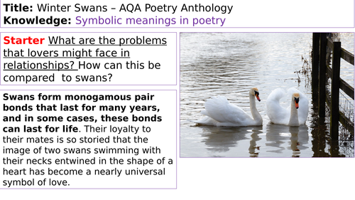 Winter Swans poem and winter writing task SEN