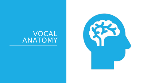 Vocal Anatomy - The Human Body