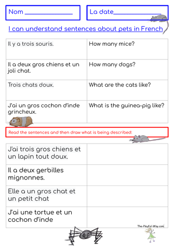 French Pet Descriptions Teaching Resources