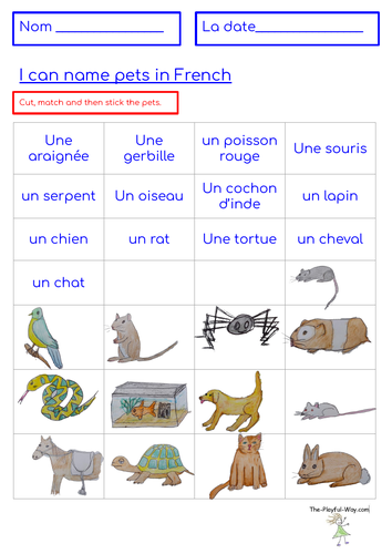 French pets matching activity