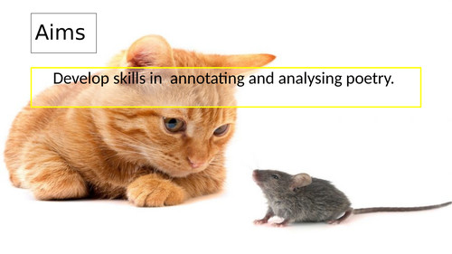 Ted Hughes - Cat and Mouse