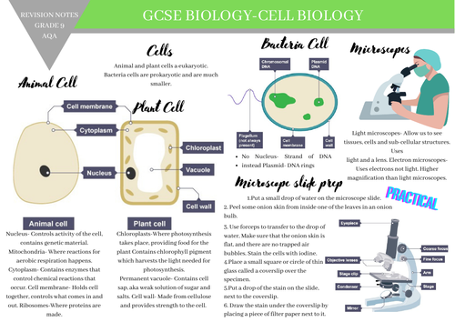 GCSE BIOLOGY AQA revision notes- Cell Biology-Grade 9 revision notes