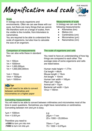 AQA GCSE Biology Magnification and Scale Revision Sheet