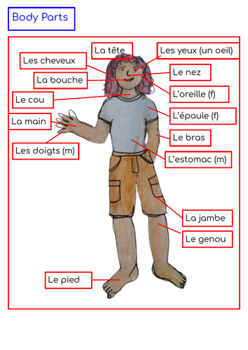 French body parts
