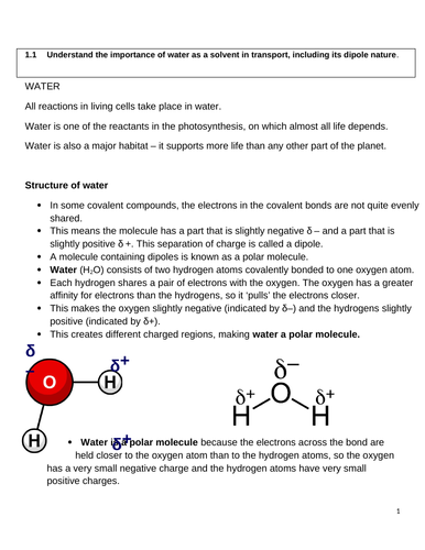 Edexcel International A level biology Unit 1