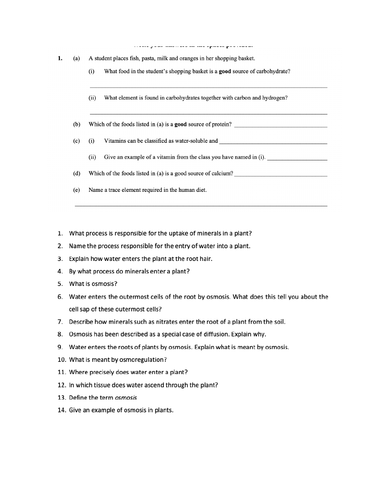 Revision sheet - Diffusion and osmosis, Food, characteristics of life OL