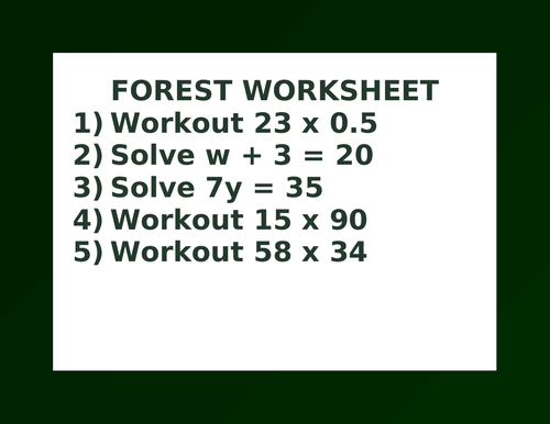 FOREST WORKSHEET 13