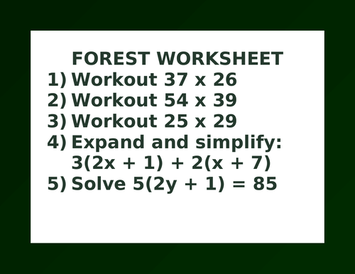 FOREST WORKSHEET 33