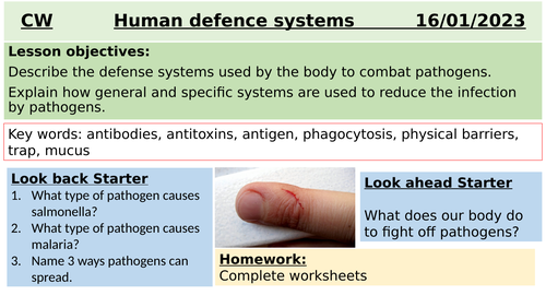 4.3.2 Human defence systems GCSE BIO