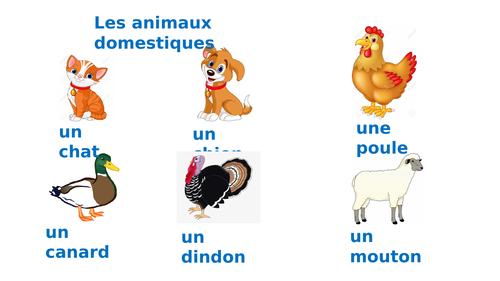 LES ANIMAUX