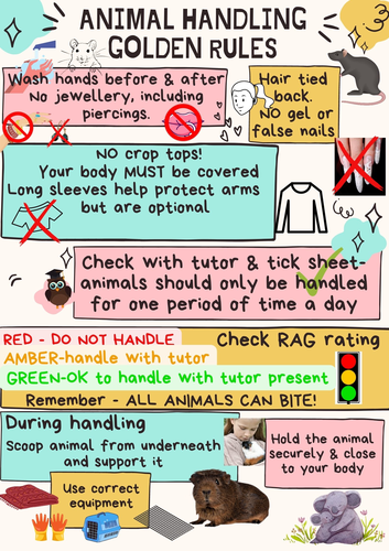 Animal Handling safety poster