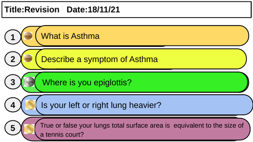 Respiratory system revision game