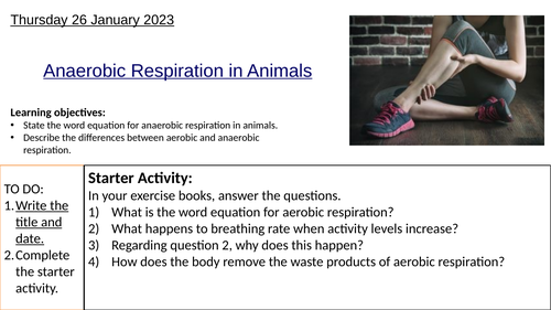 KS3 Biology Anaerobic Respiration: Complete Lesson