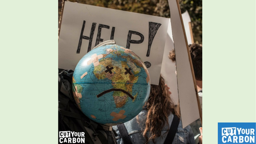 cut your carbon eco schools assembly