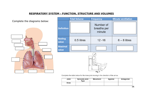 AS PE EXAM WORKSHEETS