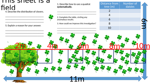 CB9b - Abiotic Factors & Communities