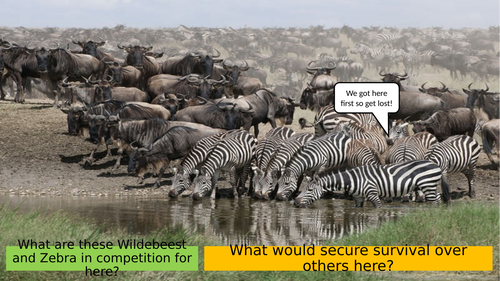 CB9c - Biotic Factors & Communities