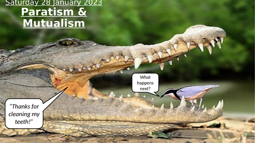 SB9f - Parasitism and Mutualism