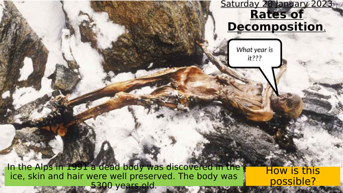SB9m - Rates of Decomposition