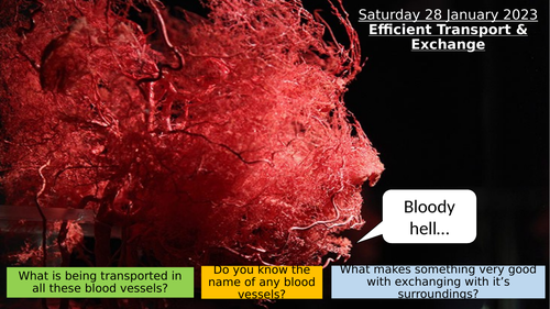 CB8a - Efficient Exchange and Transport