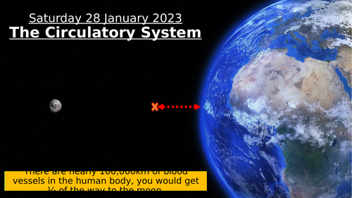 SB8c - The Circulatory System