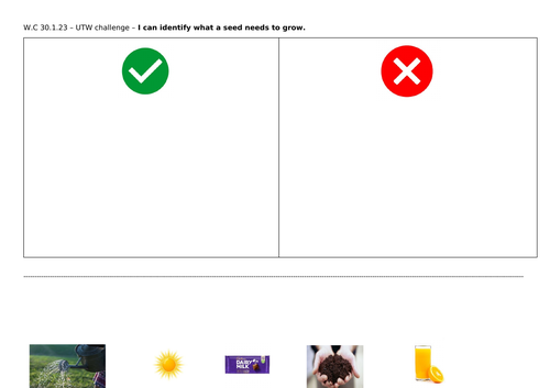 Sorting what seeds need to grow worksheet