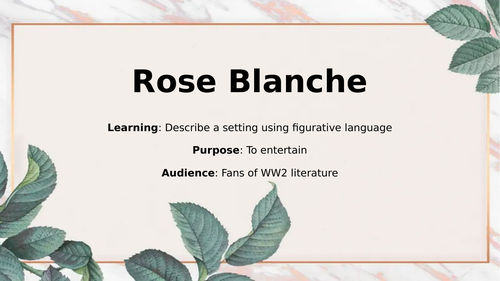 Rose Blanche Complete Unit of Work