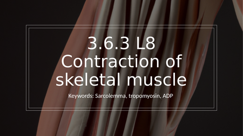 3.6.3 L8 Contraction of skeletal muscle​ (AQA A-level)