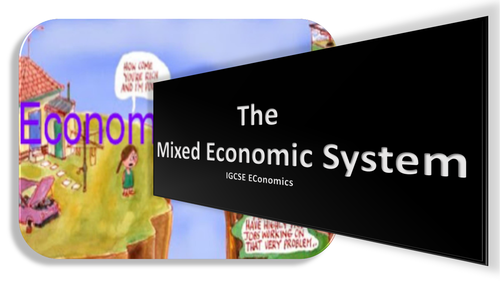 MIXED ECONOMIC SYSTEM