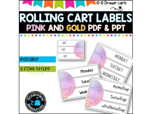 10 Drawer Rolling Cart Labels | PINK AND GOLD DESIGN I Teacher Trolley LABELS