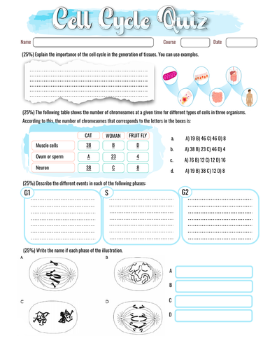 Cell cycle quiz/ exam / test in Spanish and English