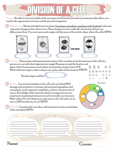 Cell division, mitosis, mitotic division