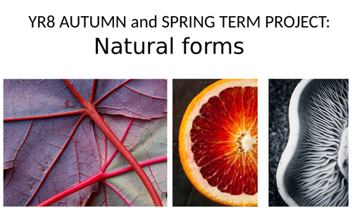 KS3 Natural forms project