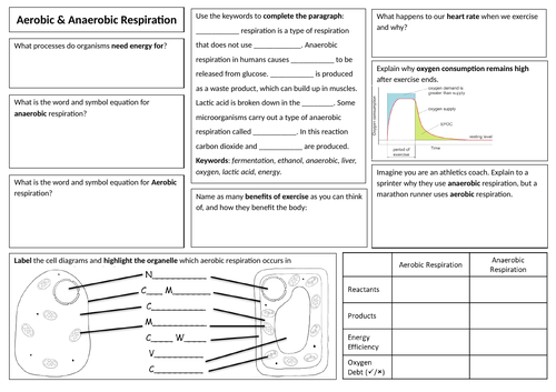 Comparing Aerobic and Anaerobic Respiration Revision - 8C Exploring Science & B2 Activate 2