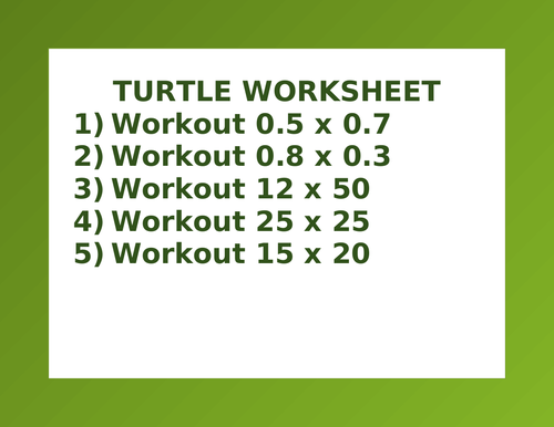 TURTLE WORKSHEET 3 | Teaching Resources