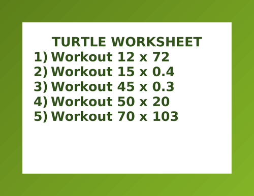 TURTLE WORKSHEET 16 | Teaching Resources