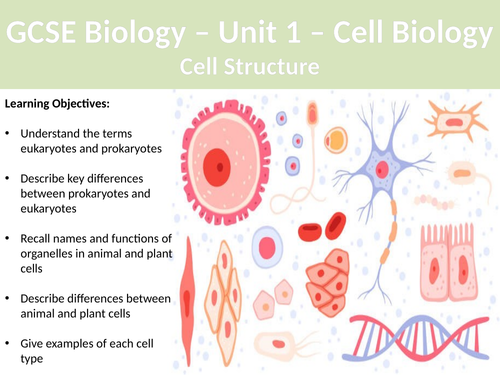 AQA GCSE Biology - Cell Structure Lesson