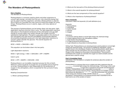 The Wonders of Photosynthesis