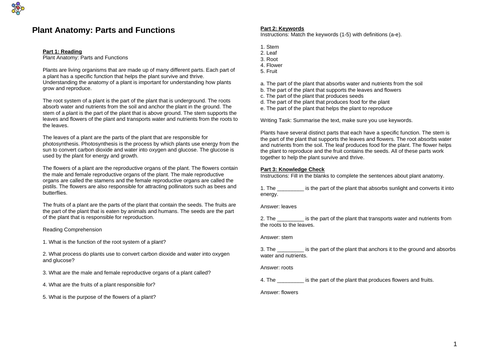 Plant Anatomy: Parts and Functions