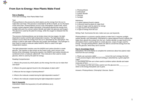 From Sun to Energy: How Plants Make Food