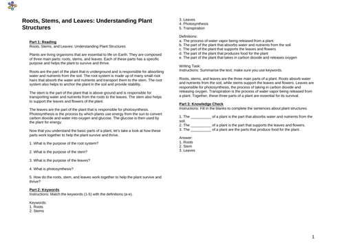 Roots, Stems, and Leaves: Understanding Plant Structures