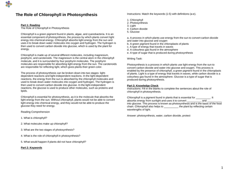 The Role of Chlorophyll in Photosynthesis