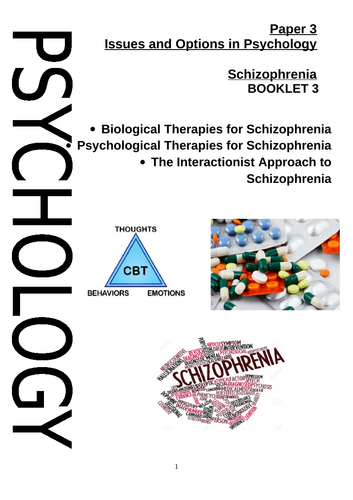 Schizophrenia full curriculum bundle AQA Psychology