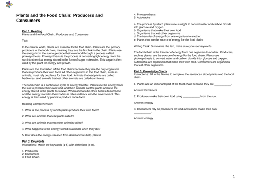 Plants and the Food Chain: Producers and Consumers