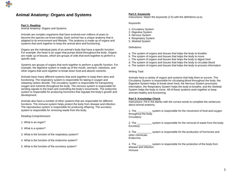 Animal Anatomy: Organs and Systems