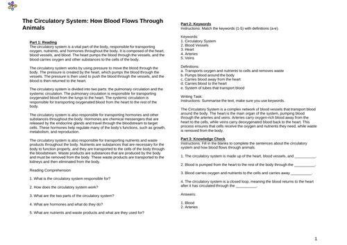 The Circulatory System: How Blood Flows Through Animals