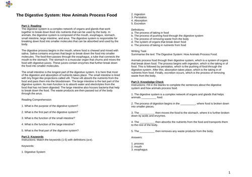 The Digestive System: How Animals Process Food