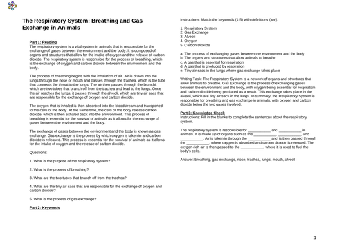 The Respiratory System: Breathing and Gas Exchange in Animals