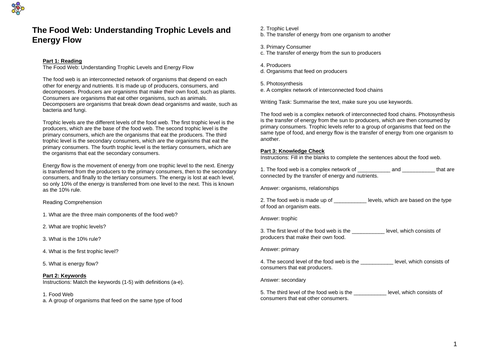 The Food Web: Understanding Trophic Levels and Energy Flow